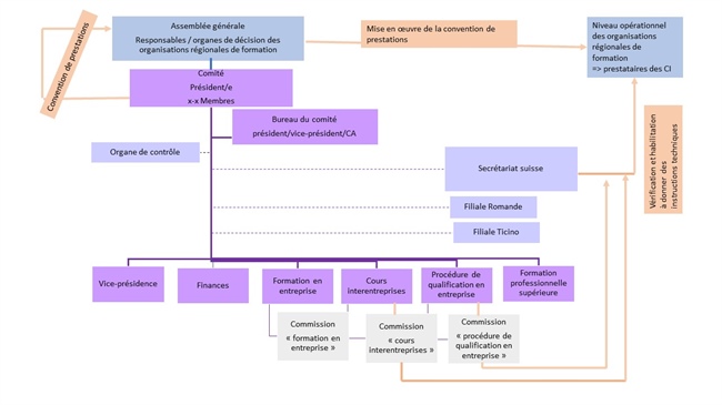 Organigramme/Règlements